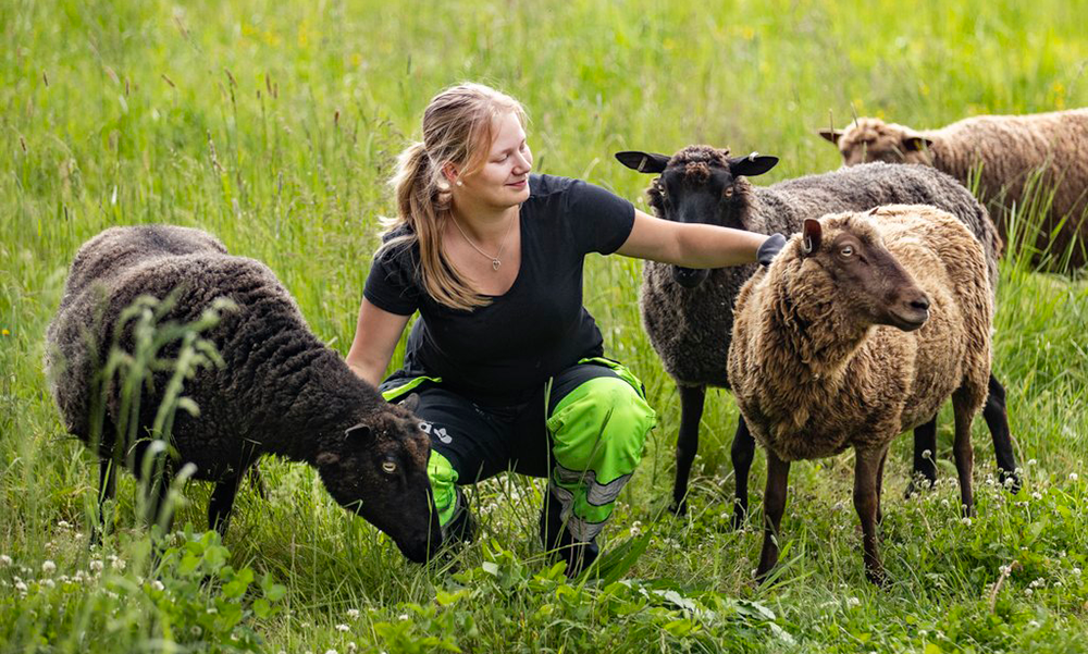 Taitaja2025 -kilpailussa jaettiin myös Taitajien Taitaja -titteli, joka meni Karoliina Koskiselle eläintenhoidossa. 